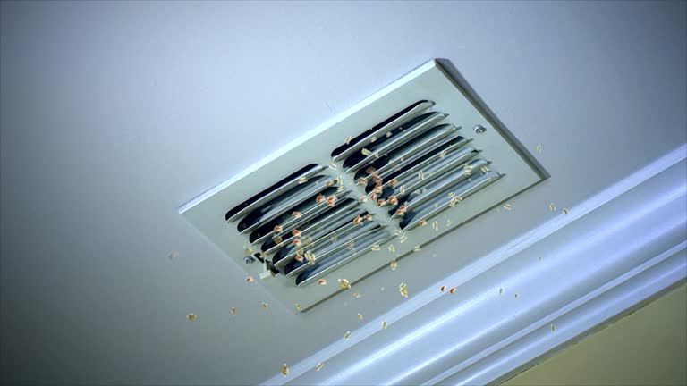Best Home Air Vent Cleaning  in Titusville, FL