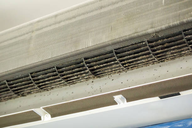 Best Air Duct Cleaning Near Me  in Titusville, FL